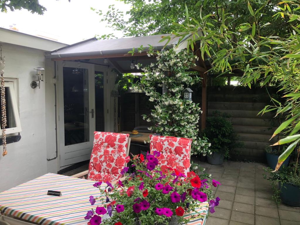 Beachstudio De Schelp room 1